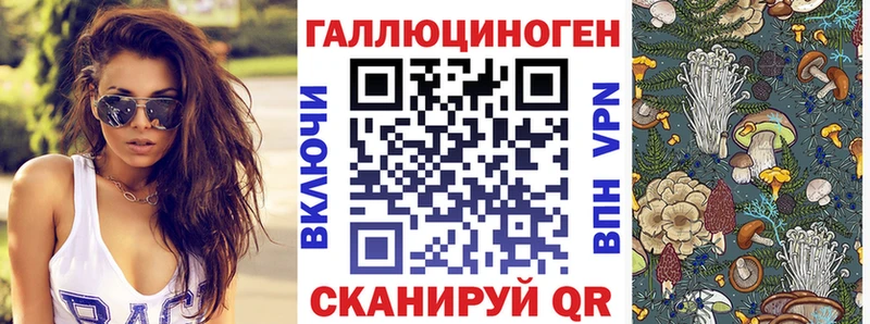 ссылка на мегу как зайти  Норильск  Галлюциногенные грибы Psilocybe 