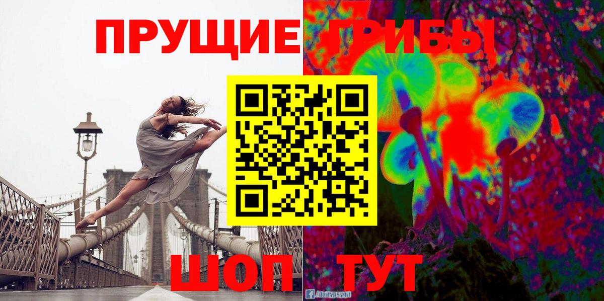 Псилоцибиновые грибы GOLDEN TEACHER Норильск