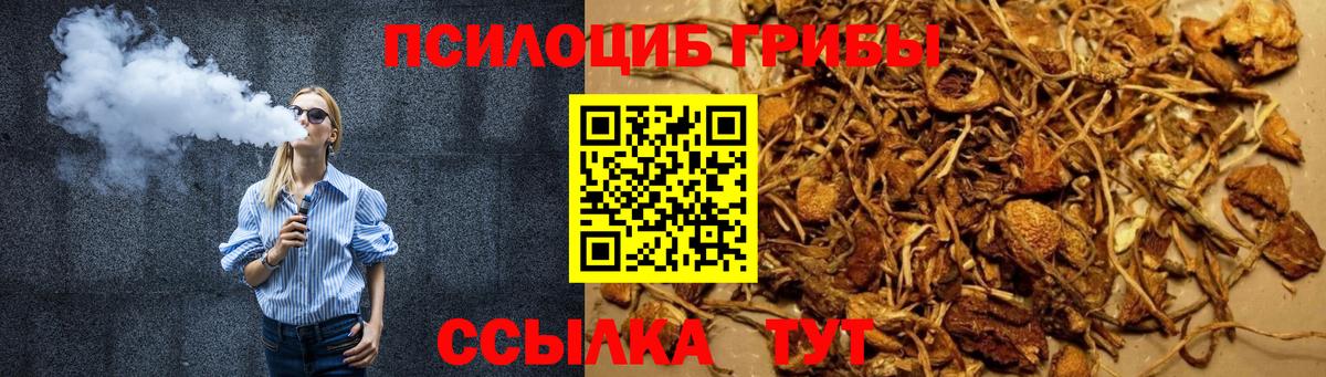 Псилоцибиновые грибы Cubensis  Вход с VPN  Псилоцибиновые грибы мицелий  Норильск 
